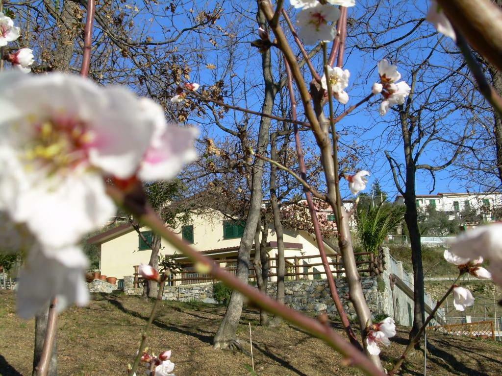 Ferienwohnung Ariabuona Moneglia Exterior foto